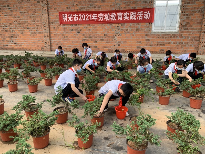 微信图片_20210522154313.jpg