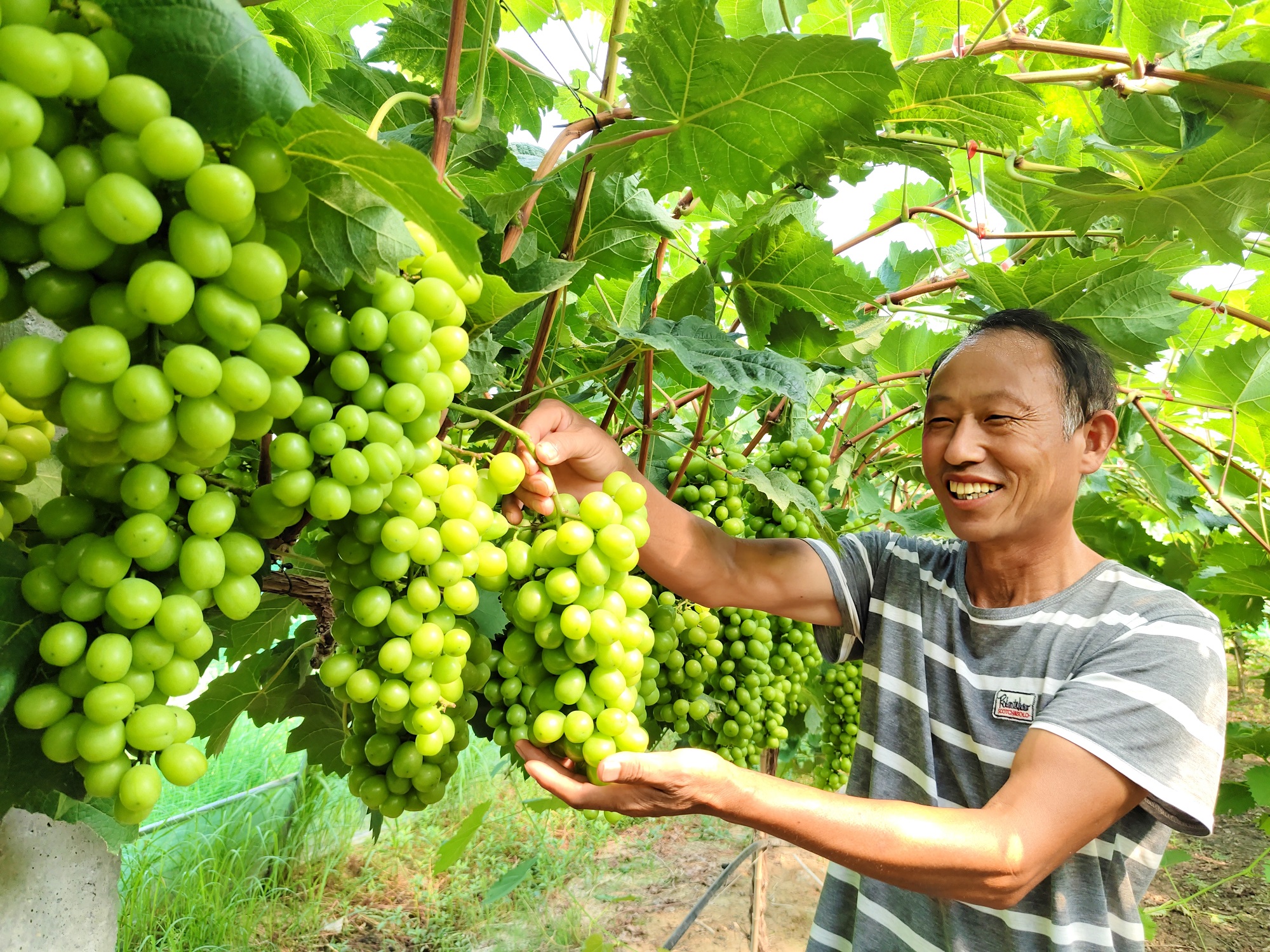 ac6de6487c404b6b3de4f00ab926464.jpg ac6de6487c404b6b3de4f00ab926464.jpg