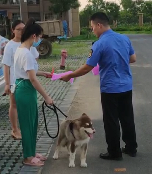 文明养犬配图.png